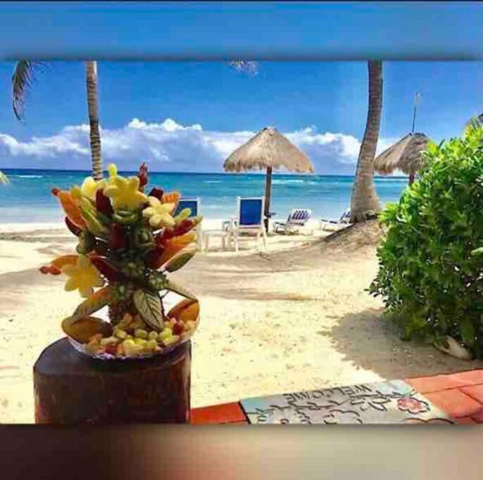 Beachfront Akumal Half Moon Bay 외부 사진