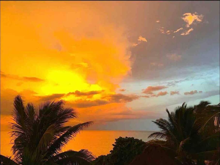 Beachfront Akumal Half Moon Bay 외부 사진
