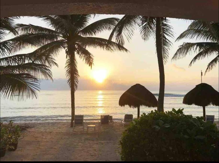 Beachfront Akumal Half Moon Bay 외부 사진